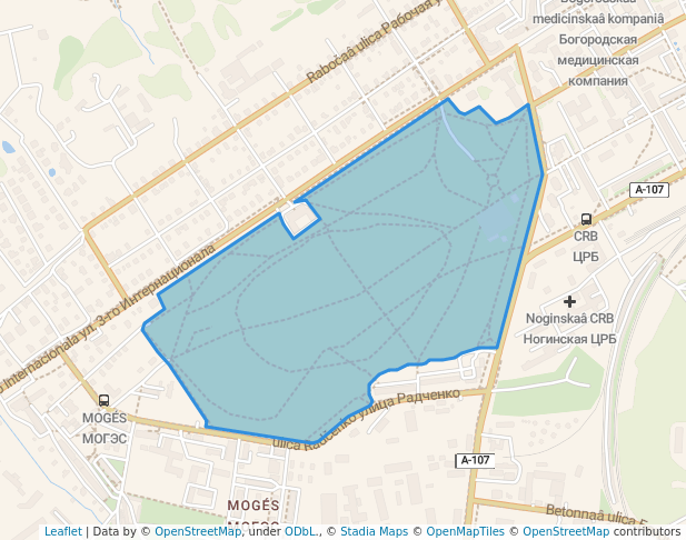 Центральный парк