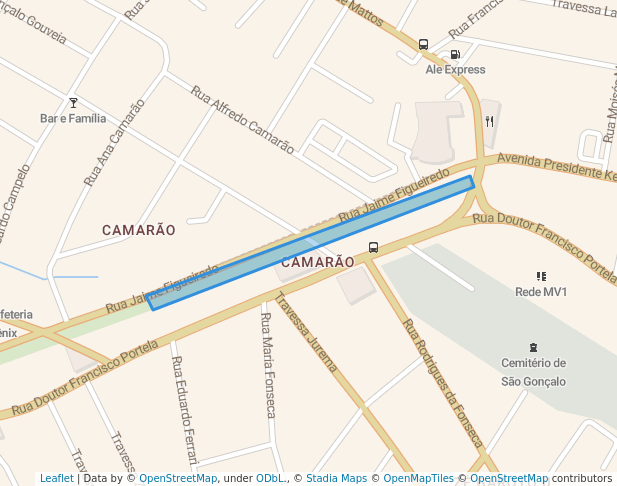 Arvores rua da caminhada