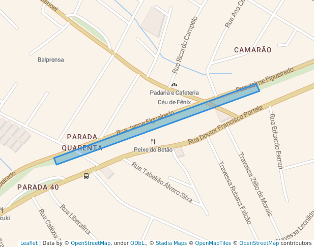 Arvores rua da caminhada