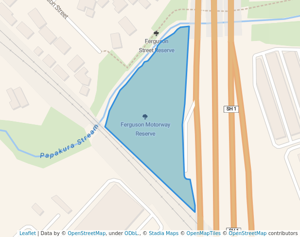 Ferguson Motorway Reserve