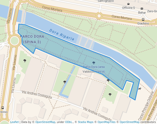 Parco Dora (area Valdocco nord A)