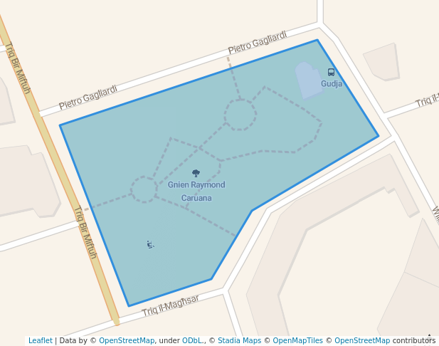 Gnien Raymond Caruana