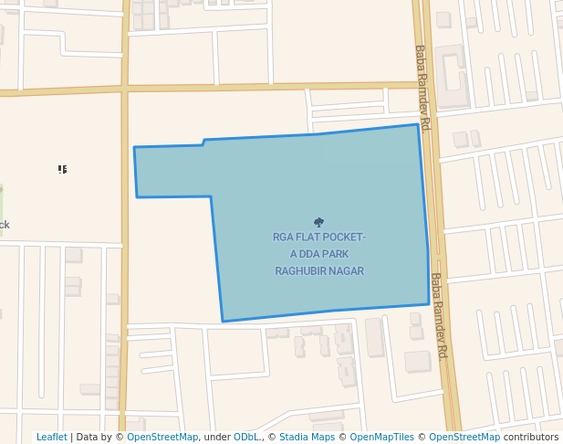 RGA FLAT POCKET-A DDA PARK RAGHUBIR NAGAR