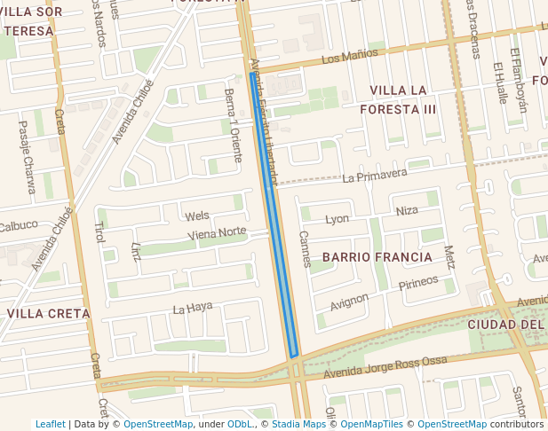 Bandejon Central Ejército Libertador