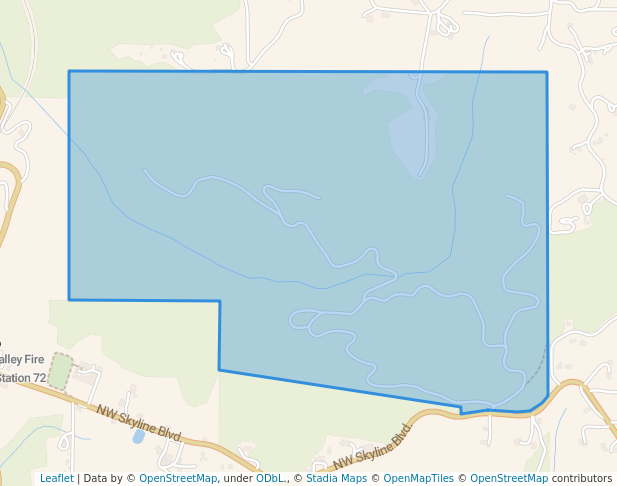 McCarthy Creek Forest