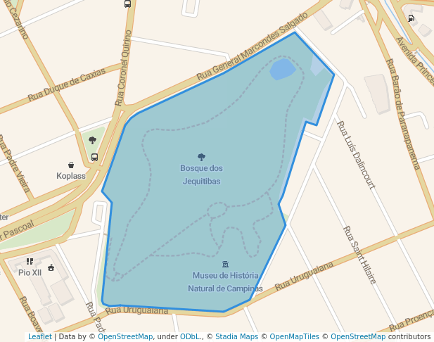 Bosque dos Jequitibas