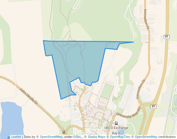 Ponderosa Pine Forest