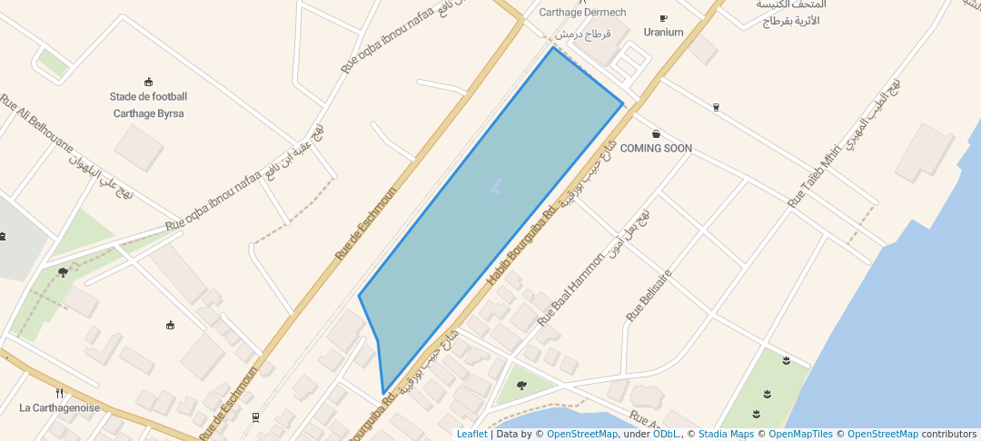 walking in Bib Knissia Basilica map in Site archéologique de Carthage