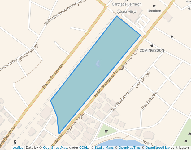 walking in Bib Knissia Basilica map in Site archéologique de Carthage