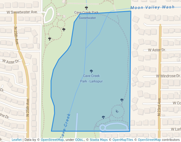 Cave Creek Park - Larkspur