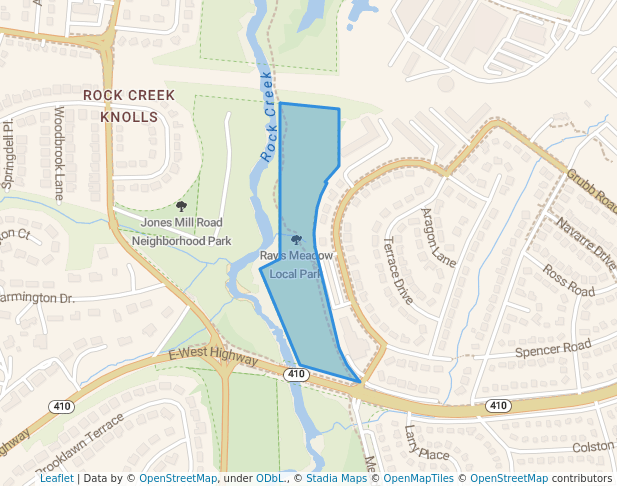 Ray's Meadow Local Park