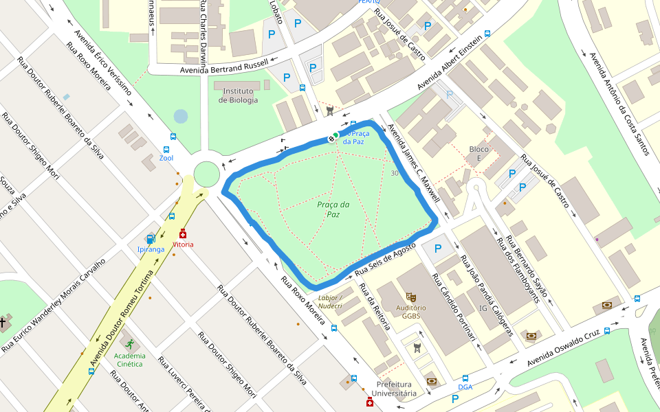 Praça da Paz walking route map in Campinas