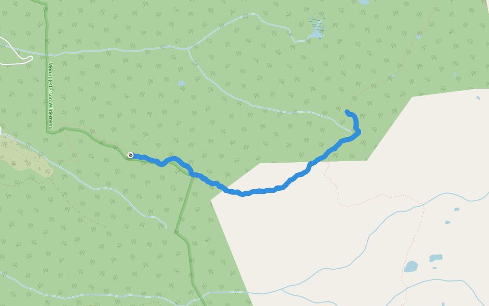 Lizard Point - Bingham Ridge Trail #3421 walking route map in Idanha