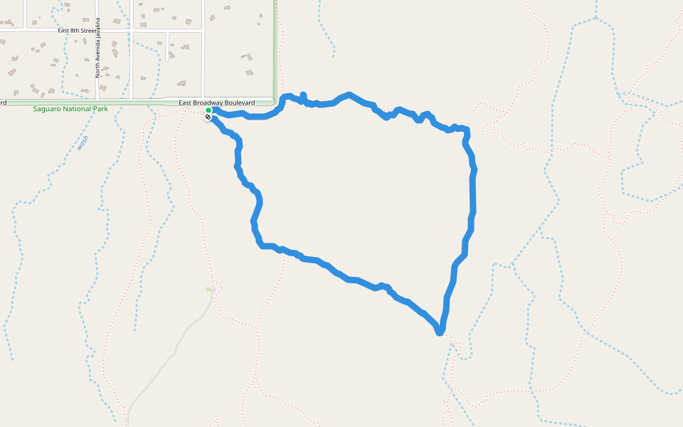 Saguaro National Park (East) 