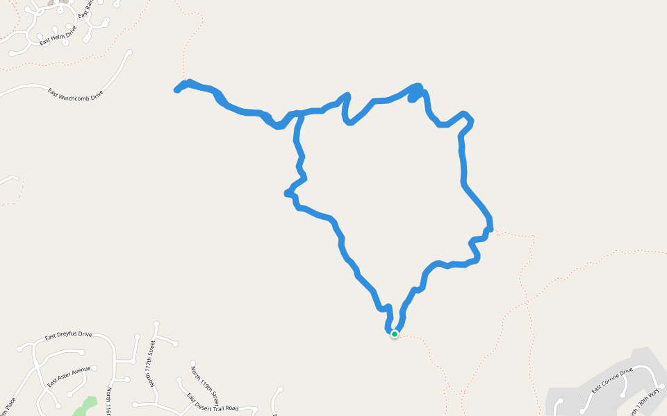 Lost Dog (Moderate) - Ringtail (Moderate)