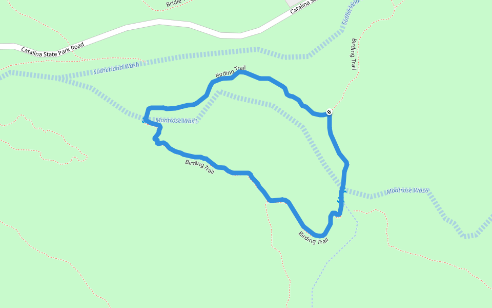 Catalina State Park - Birding Trail