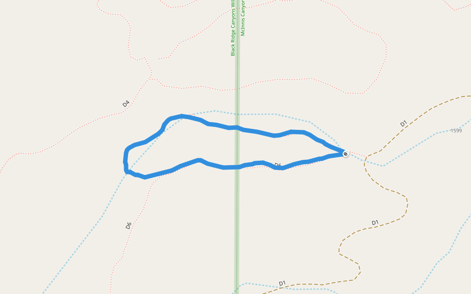 Black Ridge Canyons Wilderness Area
