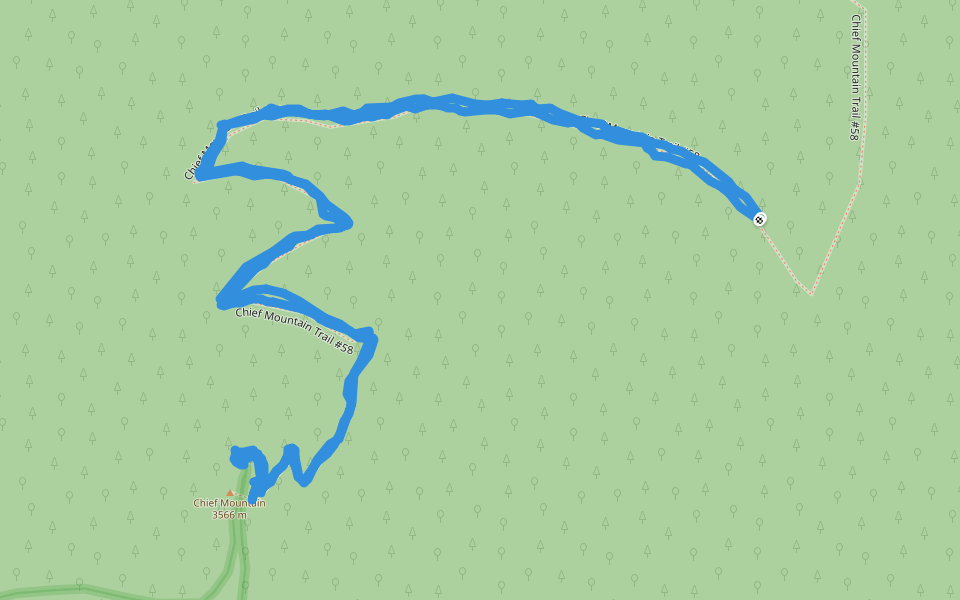 Arapaho National Forest - Chief Mountain Trail #58