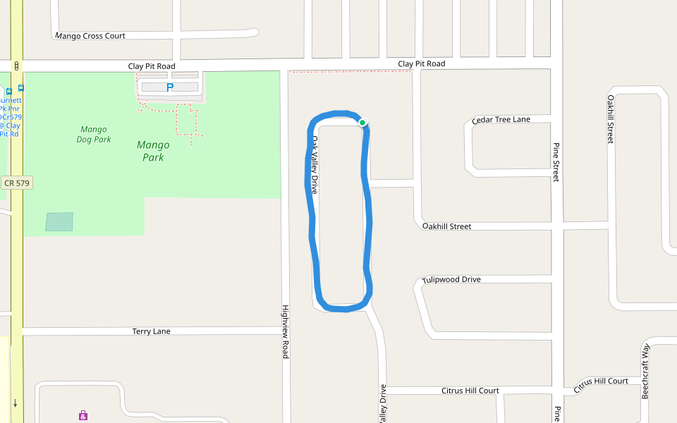 Oak Valley Dr Walking And Running Trail Seffner, Florida, USA Pacer