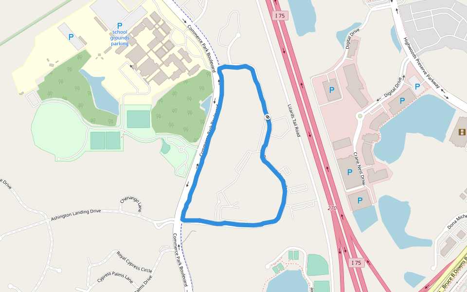 SpringHill Suites Tampa North/I-75 Tampa Palms