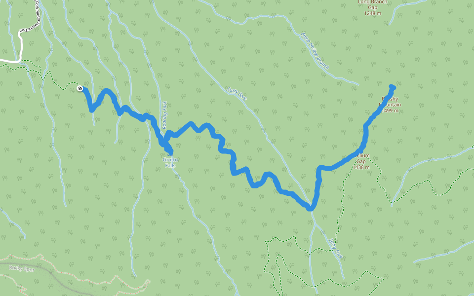 Great Smoky Mountains National Park - Trillium Gap Trail