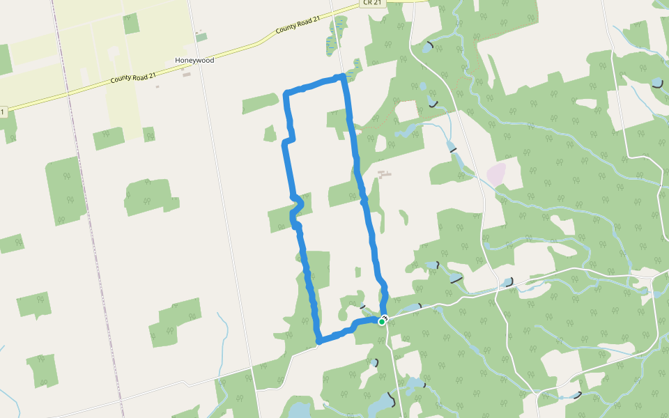 Black Bank pt .2 walking route map in Honeywood