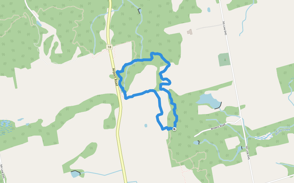 Bruce Trail Hiking Mono, Ontario, Canada Pacer