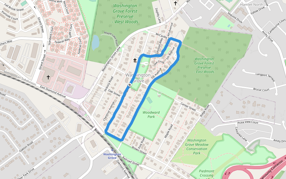 Washington Grove Forest Preserve - East Woods walking route map in Washington Grove