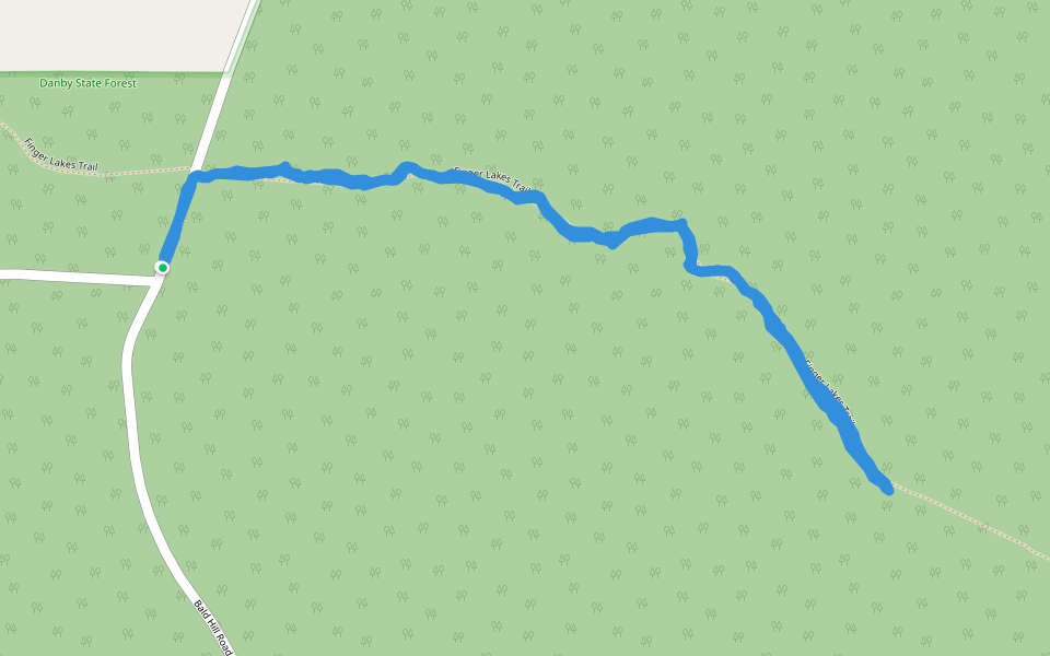 Danby State Forest - Finger Lakes Trail walking route map in Spencer