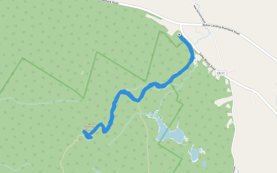 Thomas Mountain Trail