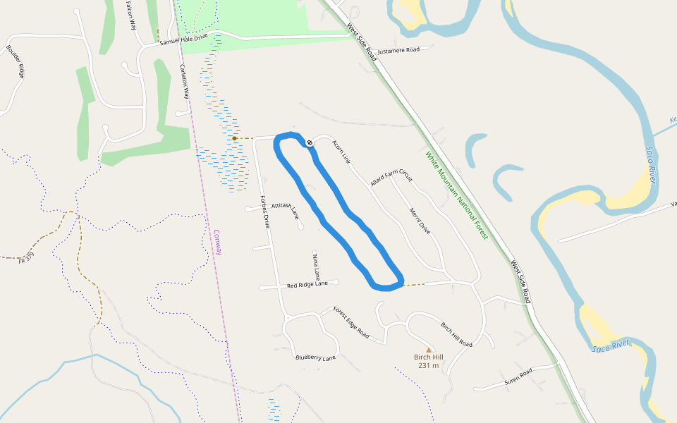 White Mountain National Forest