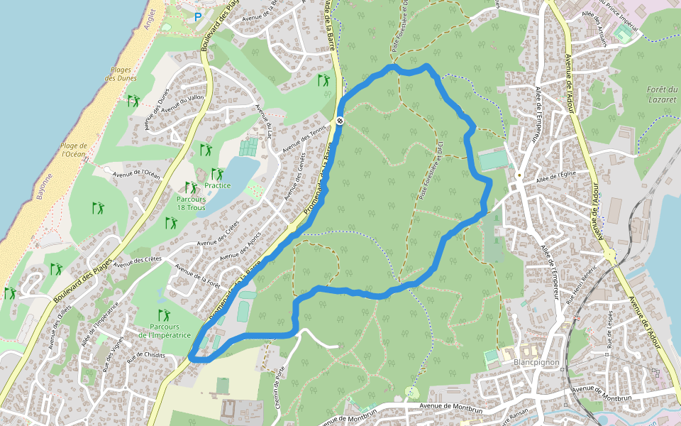Forêt du Pignada walking route map in Anglet