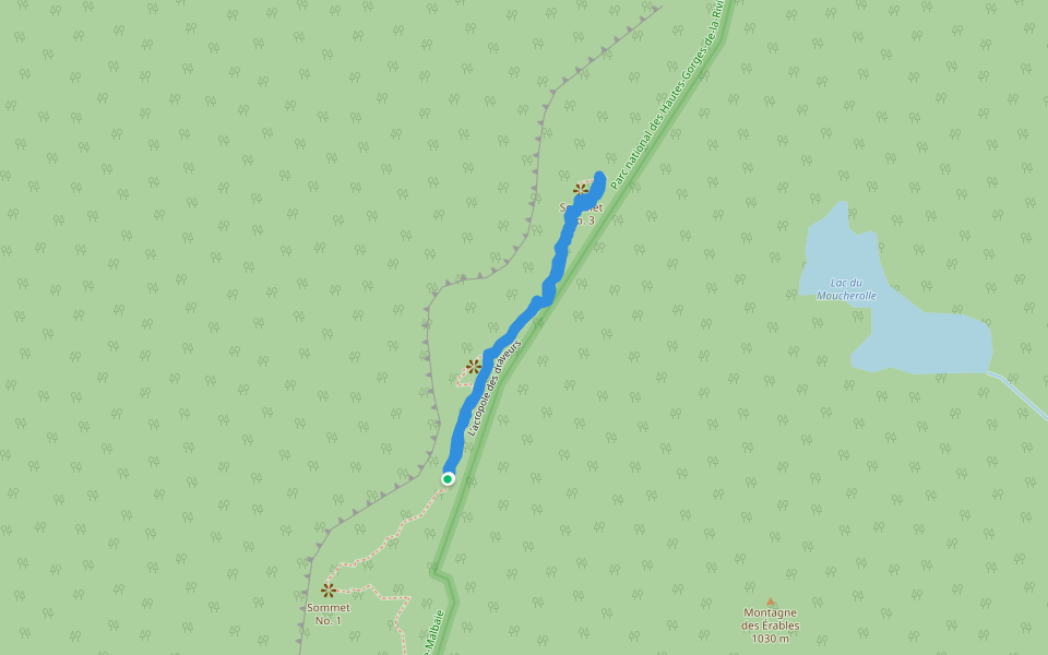 L'acropole des draveurs