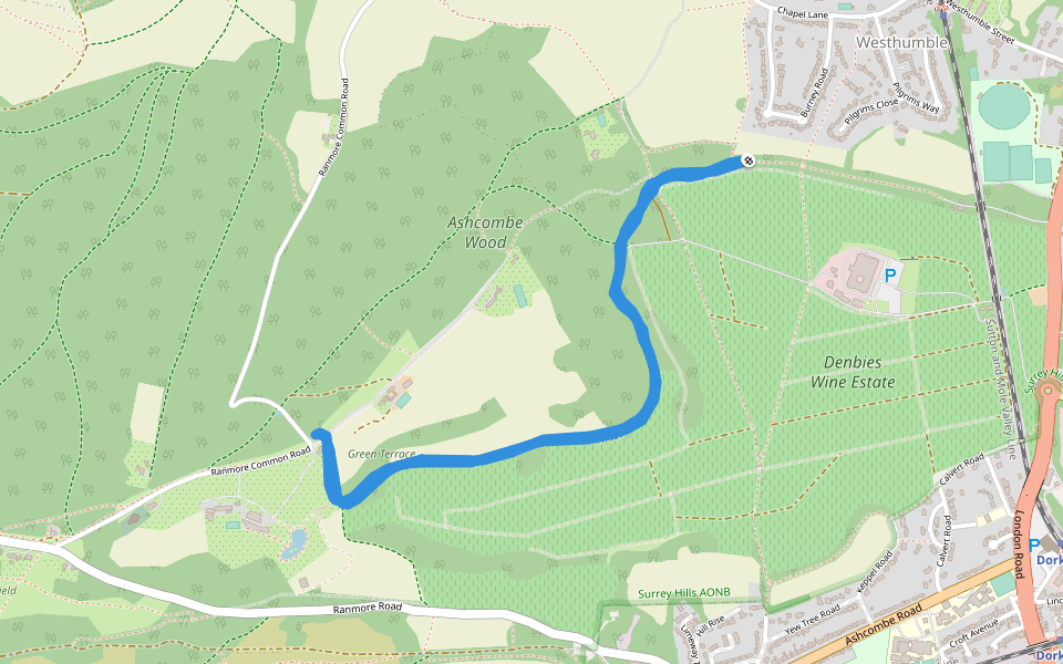 Ashcombe Wood v- FP 586