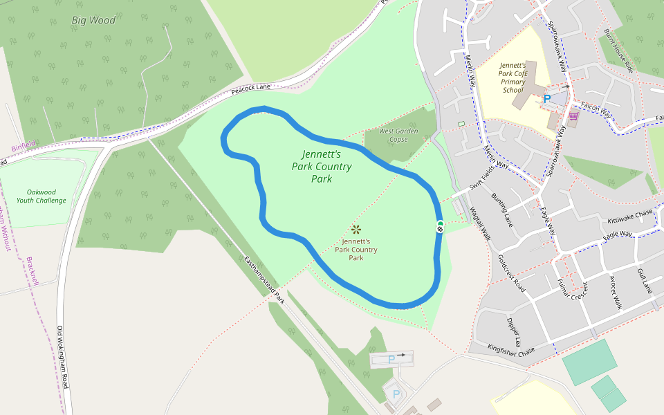 Park Country Park Walking and Running Wokingham, England