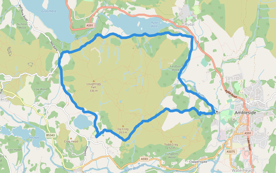 Fieldfoot Wood - Loughrigg Fell