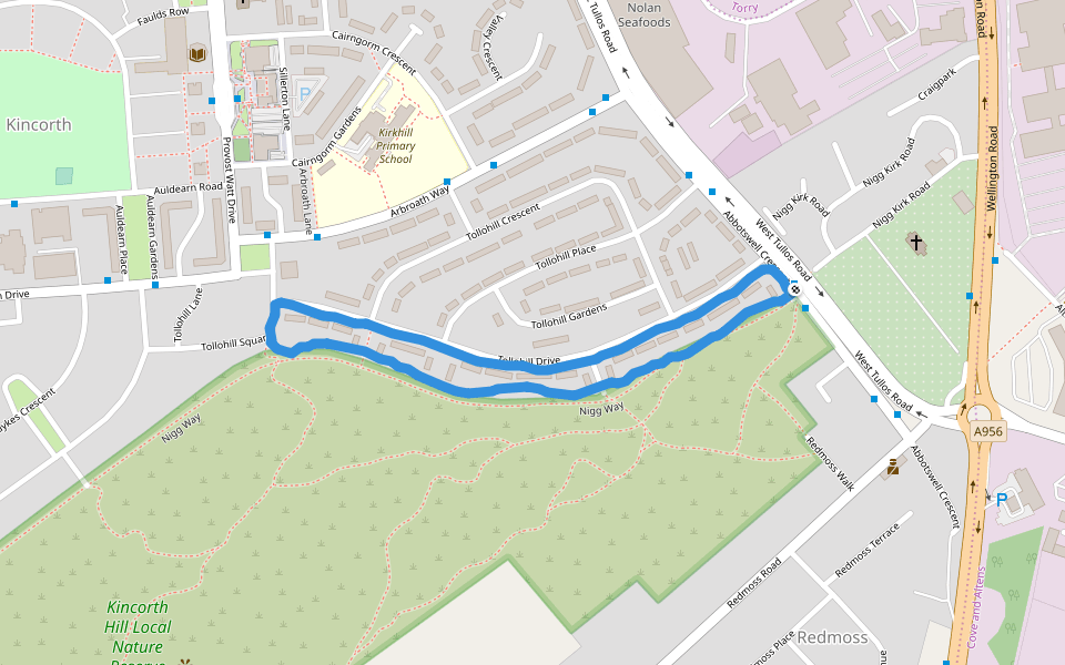 Kincorth Hill Local Nature Reserve