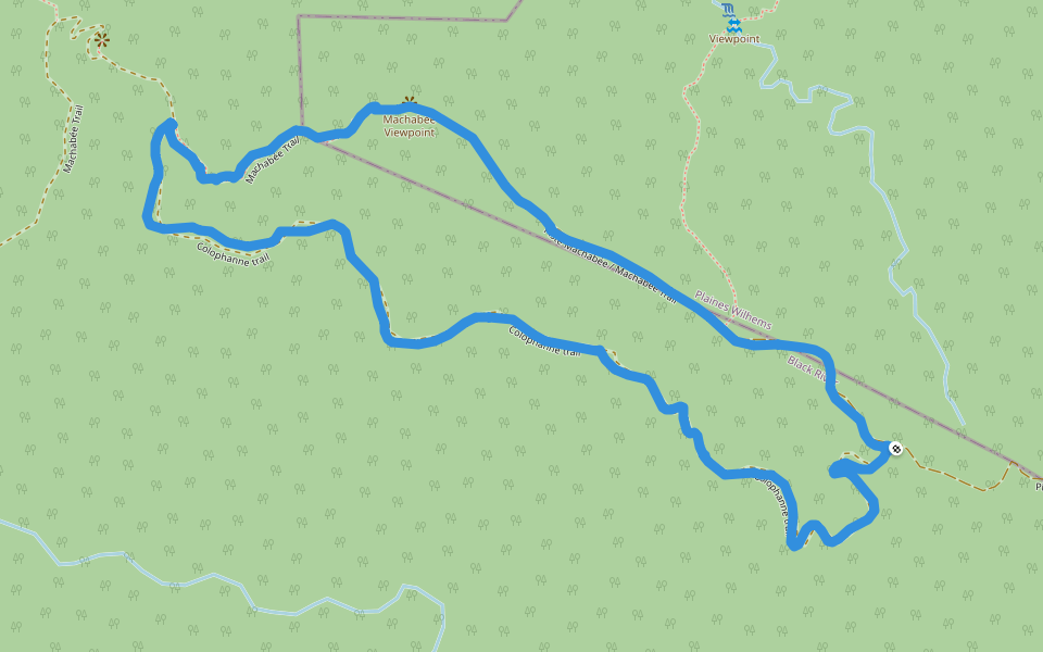 Black River Gorges National Park