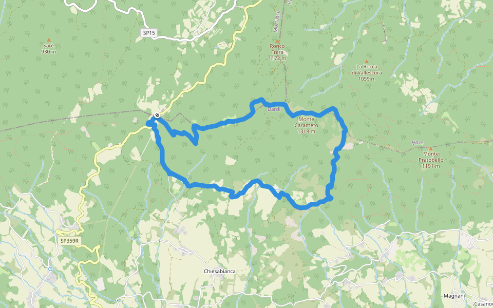 Passo del Pelizzone - Monte Carameto - Cappella di San Giovanni - Passo del Pelizzone walking route map in Pelizzone
