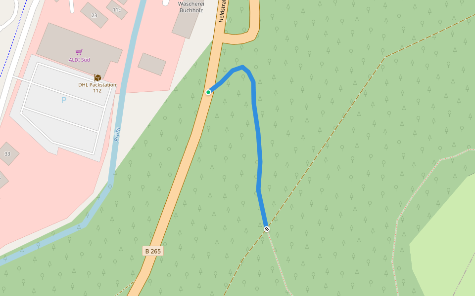 Zuweg Schneifelpfad walking route map in Prüm