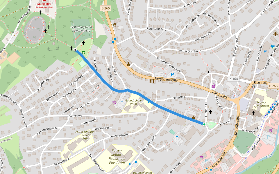 Zuweg Schneifelpfad walking route map in Prüm