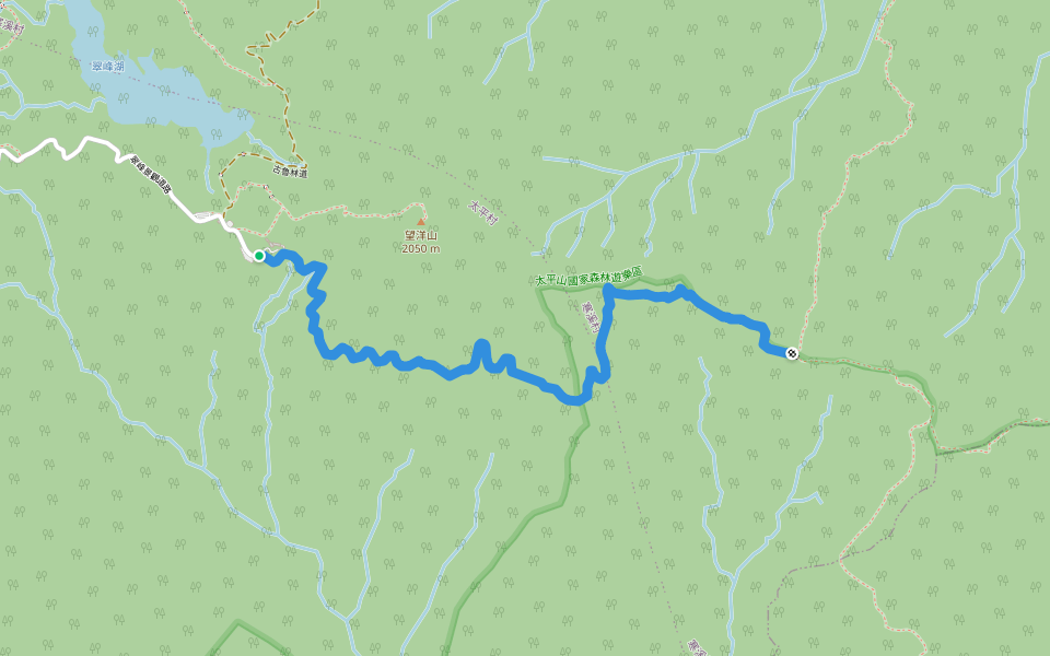 台灣山毛櫸步道