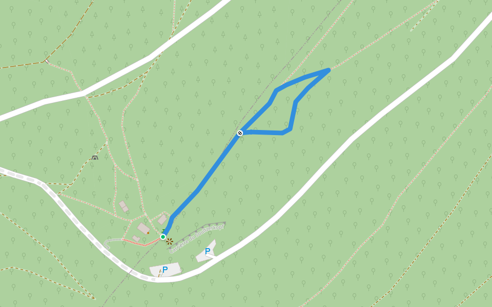 Anneau vert walking route map in Lampertsloch