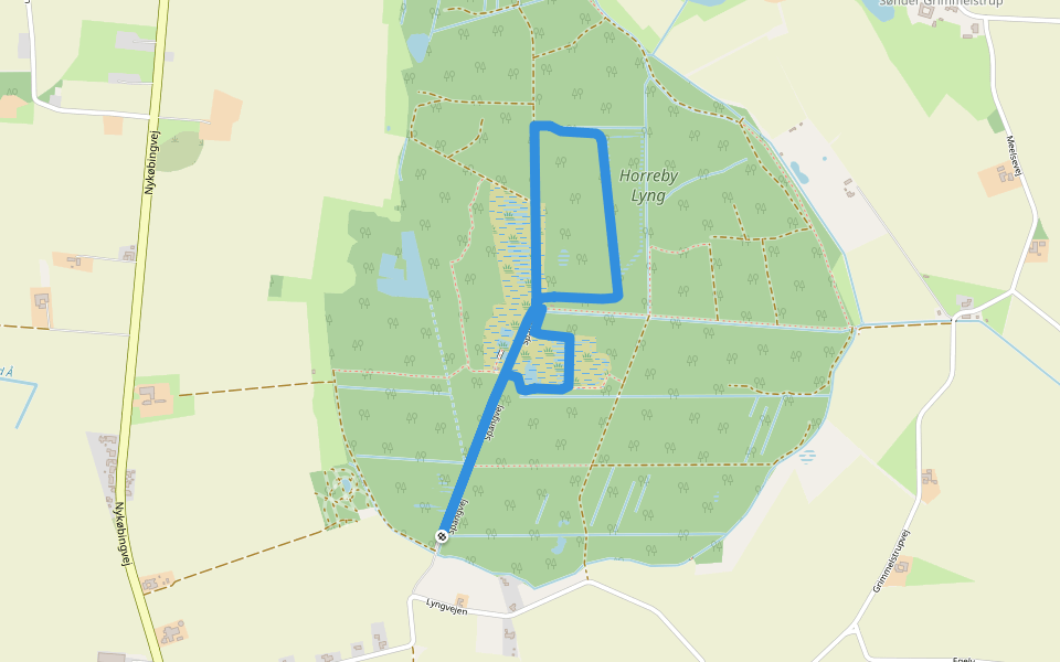 Horreby Lyng - Lilla rute walking route map in Nykøbing Falster