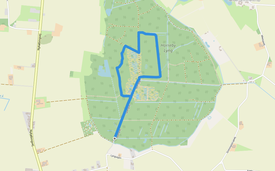 Horreby Lyng - Blå rute walking route map in Nykøbing Falster