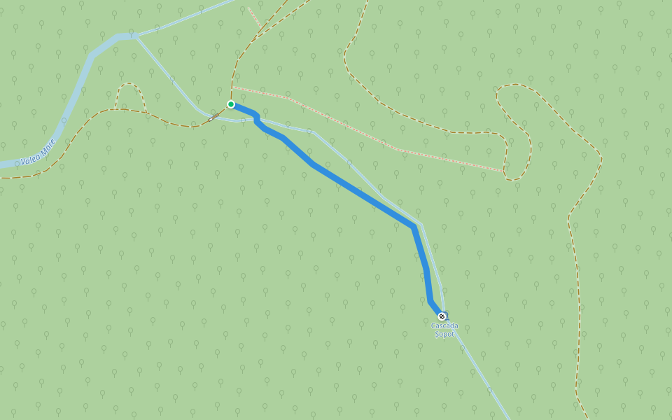 Cascada Șopot walking route map in Poieni