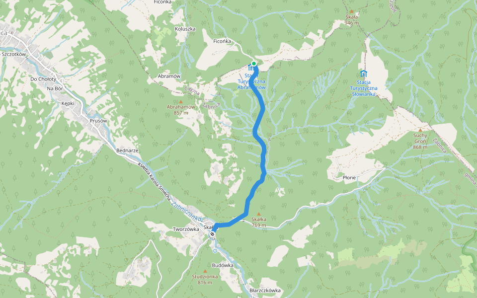 Żabnica Skałka - Abrahamów walking route map in Żabnica