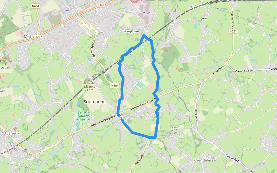 Le chemin des échaliers walking route map in Soumagne