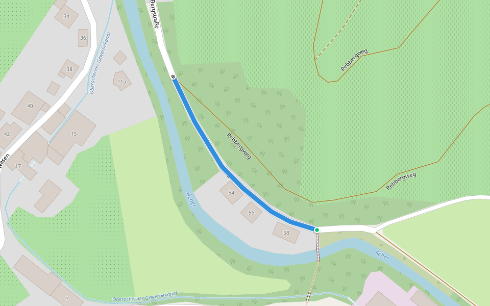 Kieunter - Bienensteg