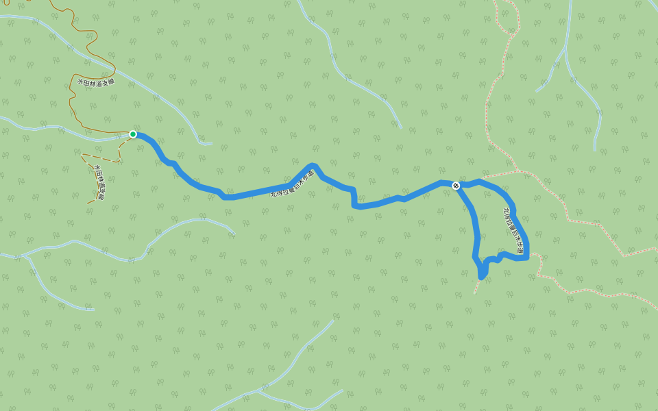 北得拉曼巨木步道